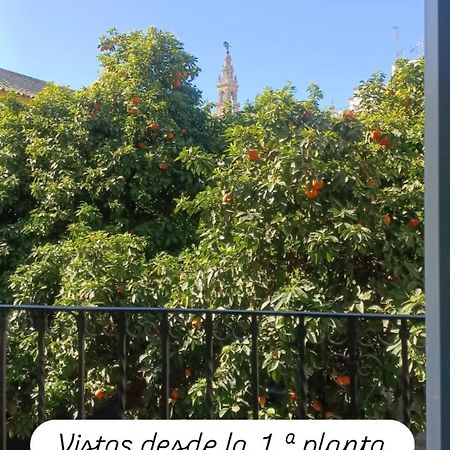 Apartamentos En La Plaza Dona Elvira, 7 Sevilla Exteriör bild