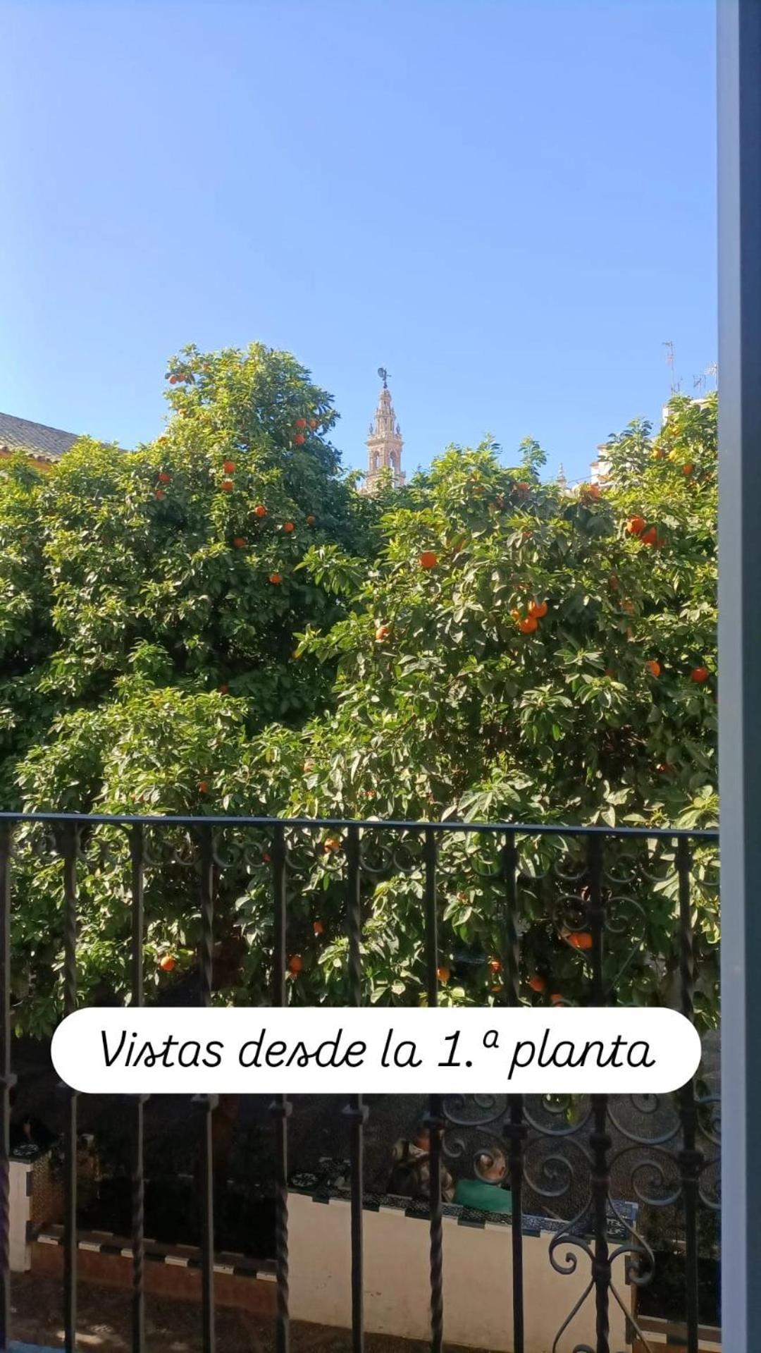 Apartamentos En La Plaza Dona Elvira, 7 Sevilla Exteriör bild