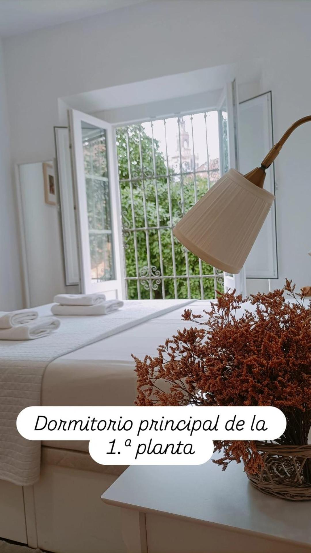 Apartamentos En La Plaza Dona Elvira, 7 Sevilla Exteriör bild
